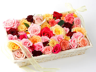 33 adet renkli gül sepet içerisinde  Ankara keçiören çiçekçilik online çiçek gönderme sipariş eryaman 