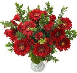 5 adet kirmizi g�l 5 adet gerbera aranjmani  �ankaya �i�ek�ilik hediye �i�ek yolla 