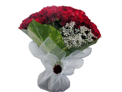 25 adet kirmizi g�l g�rsel �i�ek modeli  �i�ek�ilik �i�ek servisi , �i�ek�i adresleri g�lba�� 