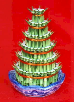 Lucky Bamboo sans melegi �i�egi  Ankara �i�ek�ilik �i�ek�iler �ankaya 