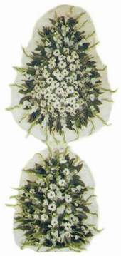  Ankara yenimahalle �i�ek�ilik �i�ek sipari�i vermek k�z�lay  d�g�n a�ilis �i�ekleri nikah �i�ekleri  Ankara abidinpa�a �i�ek�ilik g�venli kaliteli h�zl� �i�ek etlik 