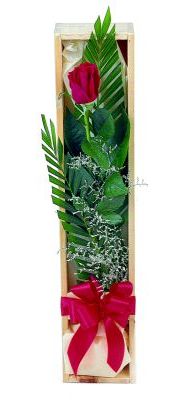 1 adet kutuda kirmizi g�l  Ankara anatolia �i�ek�ilik �i�ek g�nderme sitemiz g�venlidir 