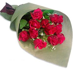 Uluslararasi çiçek firmasi 11 adet gül yolla  Ankara gölbaşı çiçekçilik çiçek mağazası , çiçekçi adresleri incek 