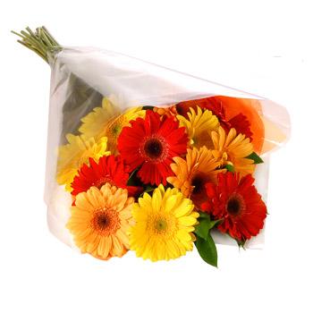 Karisik renklerde gerbera buketi  Ankara sevgilime cicekciler , cicek siparisi ke�i�ren 