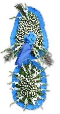  Ankara ke�i�ren �i�ek�ilik online �i�ek g�nderme sipari� eryaman  d�g�n a�ilis �i�ekleri  Ankara yenimahalle �i�ek�ilik �i�ek sipari�i vermek k�z�lay 