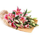  Ankara �i�ek�ilik �nternetten �i�ek sipari�i   4 adet pembe lilyum buketi 