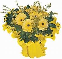  dikmen �i�ek�ilik �i�ek�i ma�azas� online 9 adet sari g�zel gerbera