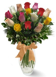 15 adet vazoda renkli gül  kavaklıdere çiçekçilik internetten çiçek satışı balgat