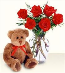 cam vazo 6 adet kirmizi g�l 15 cm pelus ayi  dikmen �i�ek�ilik �i�ek�i ma�azas� online
