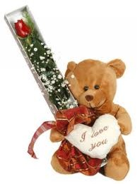 15 cm ayicik ve tek kutu g�l  Ankara buket �i�ek�ilik uluslararas� �i�ek g�nderme ulus 