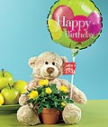  dikmen �i�ek�ilik �i�ek�i ma�azas� online Ayicik balon ve saksida sari g�ller