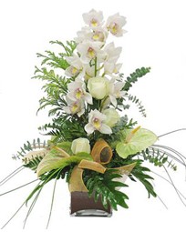  Ankara glba iekilik iek maazas , ieki adresleri incek  cam vazo ierisinde 1 dal orkide iegi