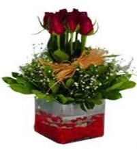  Ankara anatolia çiçek çiçek gönderme  7 adet mika yada cam vazoda gül tanzimi