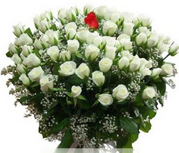  kavaklıdere çiçekçilik internetten çiçek satışı balgat 100 adet beyaz 1 adet kirmizi gül buketi