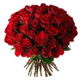  Ankara balgat çiçekçilik çiçek , çiçekçi , çiçekçilik  33 adet kırmızı gül buketi