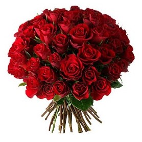  Ankara balgat �i�ek�ilik �i�ek , �i�ek�i , �i�ek�ilik  33 adet k�rm�z� g�l buketi