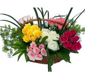  çiçekçilik ucuz çiçek gönder  35 adet rengarenk güllerden sepet tanzimi