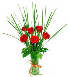  Ankara balgat çiçekçilik çiçek , çiçekçi , çiçekçilik  6 adet kırmızı güllerden vazo çiçeği