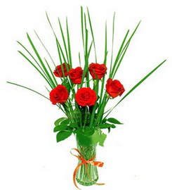  Ankara balgat �i�ek�ilik �i�ek , �i�ek�i , �i�ek�ilik  6 adet k�rm�z� g�llerden vazo �i�e�i