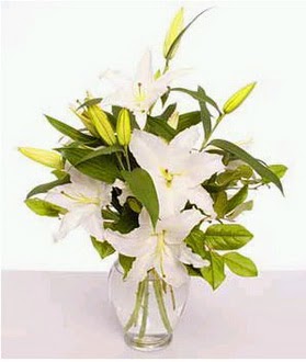  Ankara anatolia çiçek çiçek gönderme  2 dal cazablanca vazo çiçeği