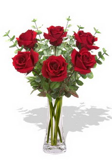  dikmen çiçekçilik çiçekçi mağazası online 6 kırmızı gül vazosu