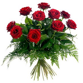  Ankara anatolia çiçek çiçek gönderme  10 adet kırmızı gülden buket