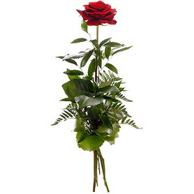 online çiçekçi , çiçek siparişi yenimahalle  1 adet kırmızı gülden buket