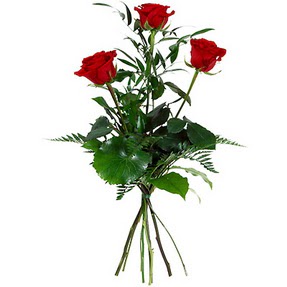  Ankara buket çiçekçilik uluslararası çiçek gönderme ulus  3 adet kırmızı gülden buket