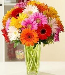  �i�ek�ilik �i�ek servisi , �i�ek�i adresleri g�lba��  15 adet gerbera �i�ek vazosu