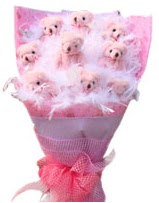 9 adet ay�c�ktan ay� buketi