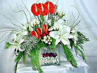  Ankara g�lba�� �i�ek�ilik �i�ek ma�azas� , �i�ek�i adresleri incek  Anthurim Kazablanka  g�l
