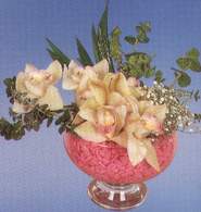  Ankara glba iekilik iek maazas , ieki adresleri incek  Dal orkide kalite bir hediye
