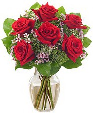 Kız arkadaşıma hediye 6 kırmızı gül  Ankara eryaman çiçekçilik internetten çiçek siparişi dikmen 