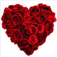  Ankara buket çiçekçilik uluslararası çiçek gönderme ulus  19 adet kırmızı gülden kalp tanzimi