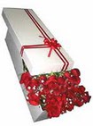  Ankara �i�ek �i�ek�i telefonlar�  11 adet 1.kalite magnum g�ller