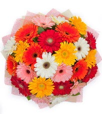 15 adet renkli gerbera buketi  Ankara yurtiçi ve yurtdışı çiçek siparişi demetevler 