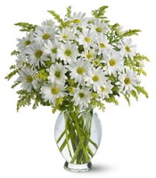 Vazo i�erisinde beyaz krizantem �i�ekleri  dikmen �i�ek�ilik �i�ek�i ma�azas� online