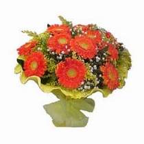  Ankara anatolia �i�ek�i �i�ek yolla   11 adet se�me gerbera �i�egi