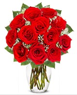 12 adet vazoda k�pk�rm�z� g�l  hediye �i�ek�ilik cicek , cicekci bat�kent