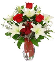 5 adet k�rm�z� g�l ve 1 dal kazablanka  Ankara oran �i�ek�ilik �i�ek sipari�i sitesi ucuz �i�ekleri 