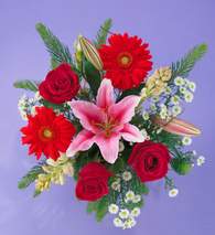  �i�ek�ilik ucuz �i�ek g�nder  Gerbera g�l ve lilyum buketi