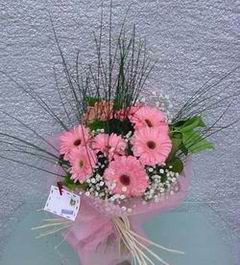  �ankaya �i�ek�ilik hediye �i�ek yolla  Pembe gerbera mevsim �i�ekleri
