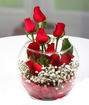 Cam fanus içerisinde 9 adet kırmızı gül  Ankara yenimahalle çiçekçilik çiçek siparişi vermek kızılay 