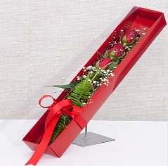 Kutu içerisinde 3 adet kırmızı gül  Ankara keçiören çiçekçilik online çiçek gönderme sipariş eryaman 