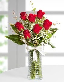 Cam vazoda 7 adet kırmızı gül  Ankara balgat çiçekçilik çiçek , çiçekçi , çiçekçilik 