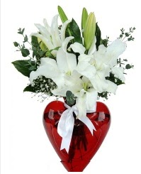 Kalp vazoda 3 kazablanka çiçeği  Ankara çiçekçilik İnternetten çiçek siparişi  