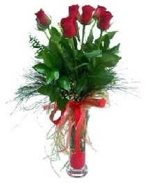 vazo içerisinde 5 kırmızı gül  Ankara abidinpaşa çiçekçilik güvenli kaliteli hızlı çiçek etlik 