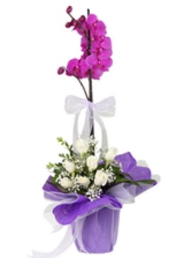 1 dal mor orkide ve 11 adet beyaz g�l  Ankara ma�aza �i�ek�ilik 14 �ubat sevgililer g�n� �i�ek ke�i�ren 