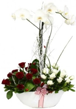 Tek dal beyaz orkide 8 beyaz 8 kırmızı gül  Ankara çiçekçilik çiçek satışı 