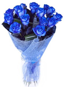 12 adet mavi gül buketi  çiçekçilik çiçek servisi , çiçekçi adresleri gölbaşı 